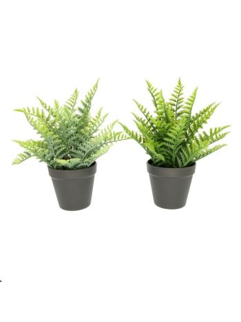 Selyemvirág Páfrány cserepes 29 cm zöld 2 féle