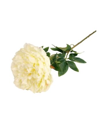 Selyemvirág peonia 71cm fehér