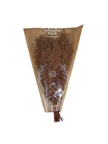 ZVB STOEBE TERRACOTA 30/50 8435056106055