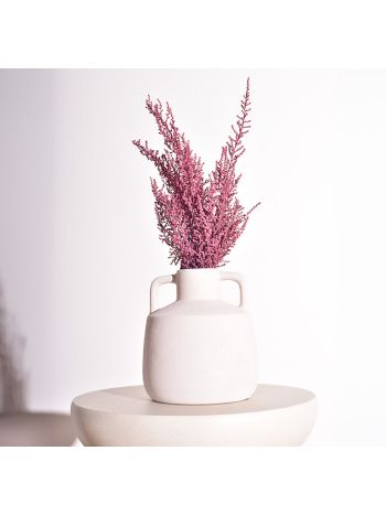 ZVB STOEBE CORAL 30/50 8435056106635
