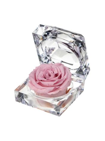 ZZ A TART&Oacute;SR&Oacute;ZSA JEWEL PIN 04