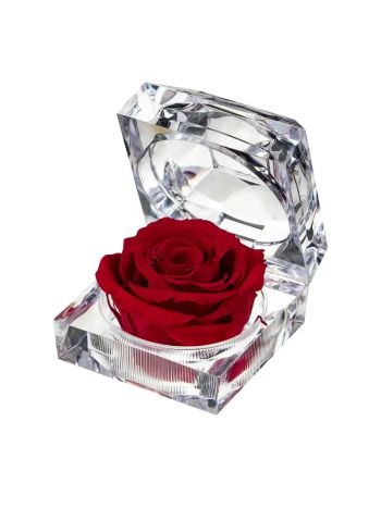 ZZ A TART&Oacute;SR&Oacute;ZSA JEWEL RED 01