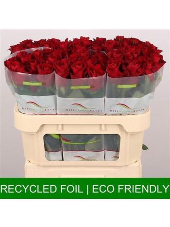 R GR EVER RED 70CM