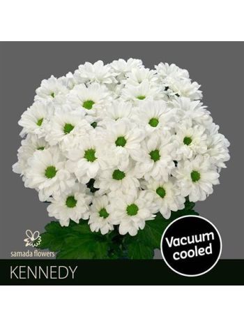 CHR T  F. KENNEDY