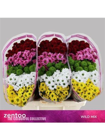 CHR SAN GEM - WILD MIX