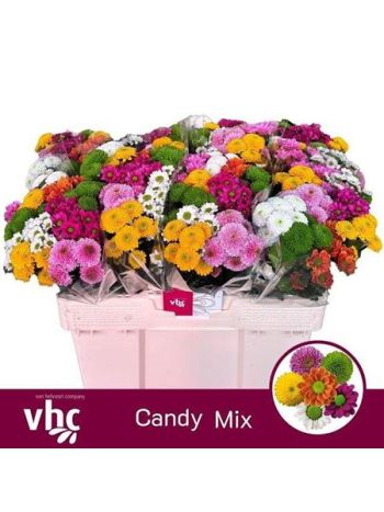 CHR SAN GEM - CANDY MIX