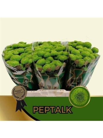 CHR S AAA PEPTALK