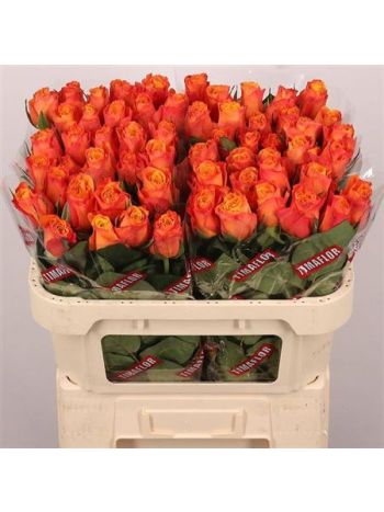 R GR CONFIDENTIAL 70CM