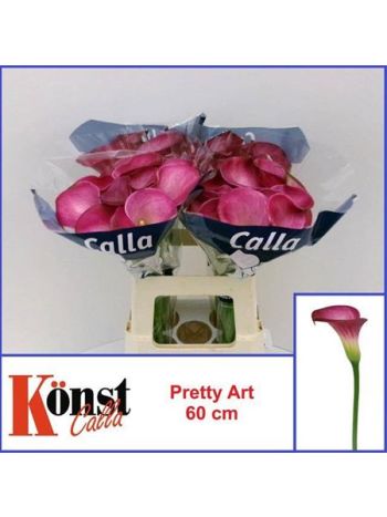 ZANT PRETTY ART 60CM