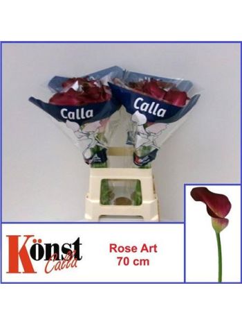 ZANT ROSE ART 70CM