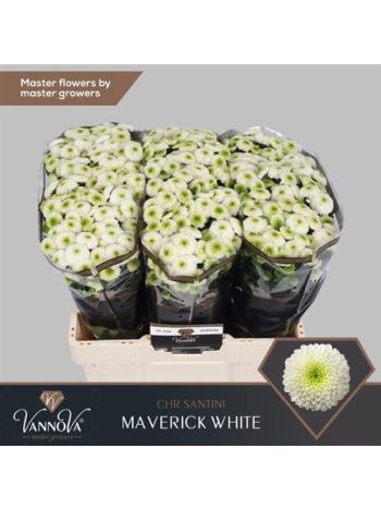CHR SAN MAVERICK WHITE