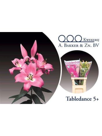 LI OT TABLEDANCE 90CM