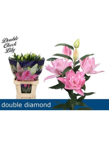 LI OR DU DOU DIAMOND 95CM