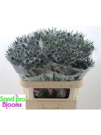 ERYN MAG BLUE LAGOON 70CM