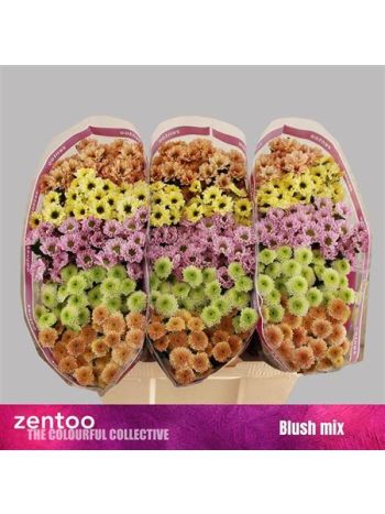 CHR SAN GEM - BLUSH