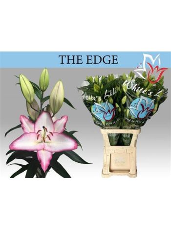 LI OR THE EDGE