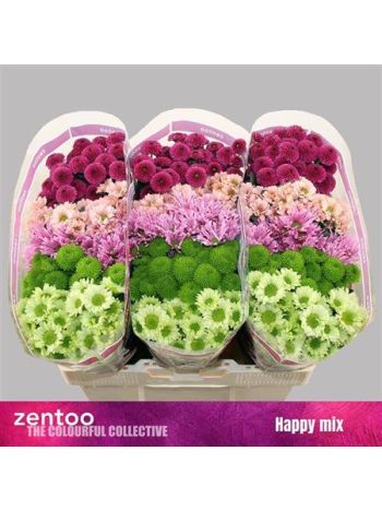 CHR SAN GEM - HAPPY