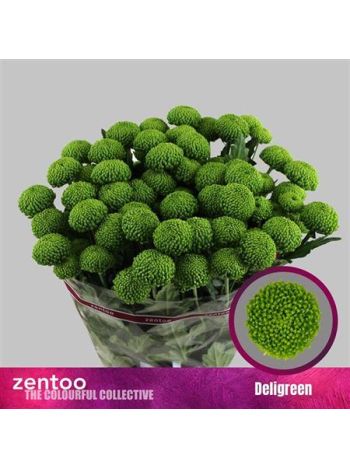 CHR T DELIGREEN