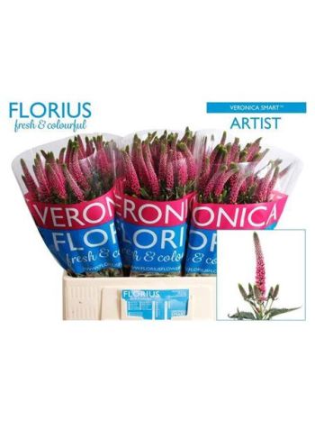 VERON SMART ARTIST