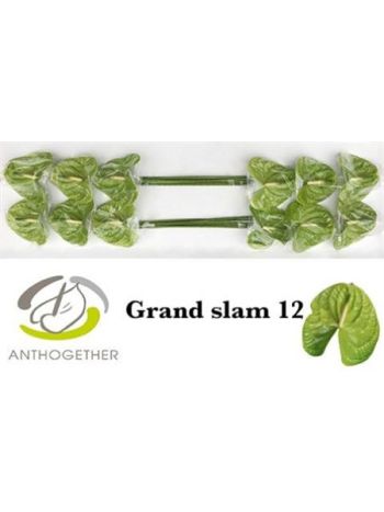 ANTH A GRAND SLAM *12