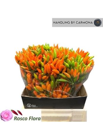 CAP ORANGE FIRE 45CM