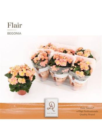 BEG DU HAILEY SUNSET