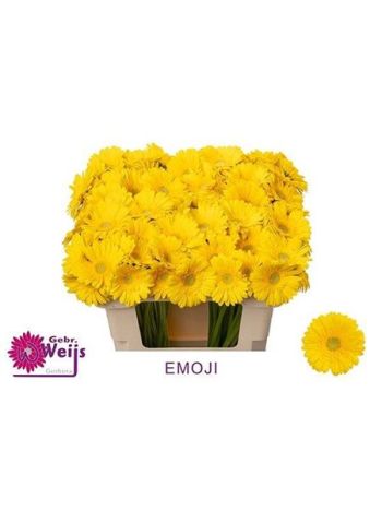 GE MI EMOJI