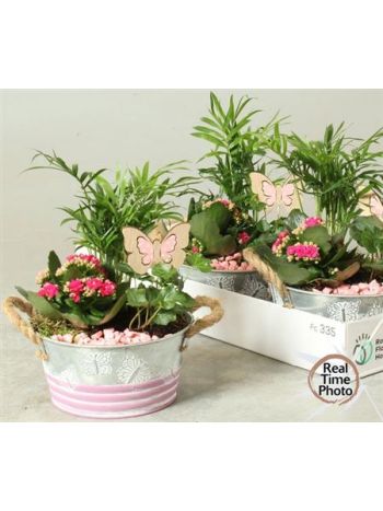 Ö. BENT CHAM KAL SPAT ZINK TAL