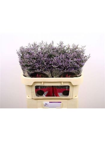 LIM OV SKYLIGHT 70CM