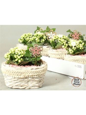 Ö. BENTI HED KAL KOSAR