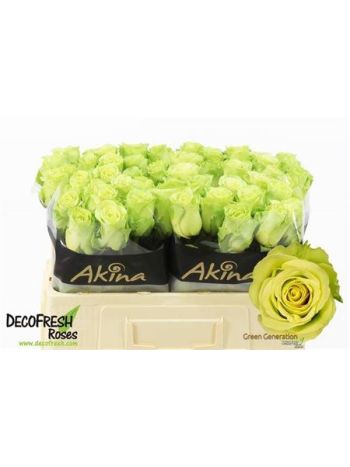 R GR5 GREEN GENERATIO