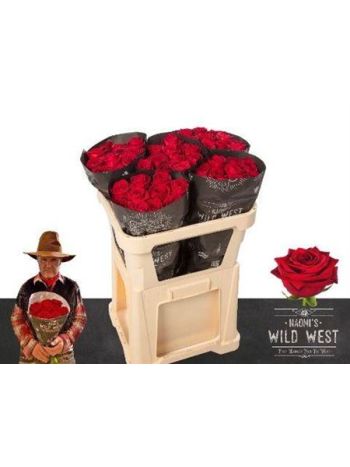 R GR RED NAOMI! 70CM