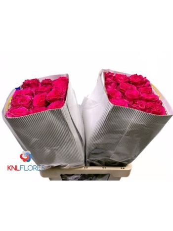 R GR EC FULL MONTY! 60CM