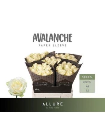 R GR AVALANCHE+ 60CM