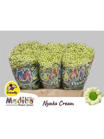 CHR SAN MAD NYAKA CR