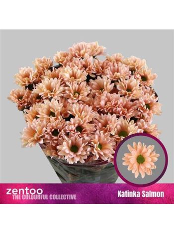 CHR T KATINKA SALMON