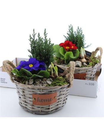 Ö. CHAM NAR PRIM KOSÁR