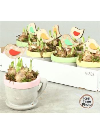 &Ouml;. NARC B&Ouml;GRE MAD&Aacute;R