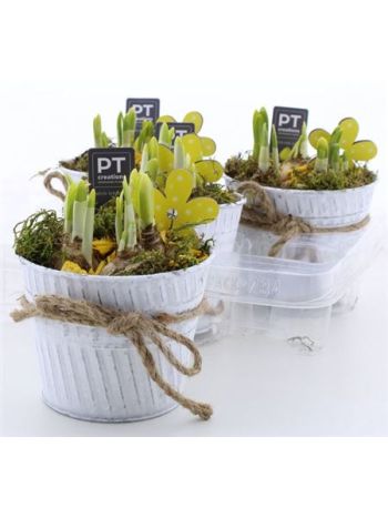 &Ouml;. NARC MASNI ZINK KASP&Oacute;S