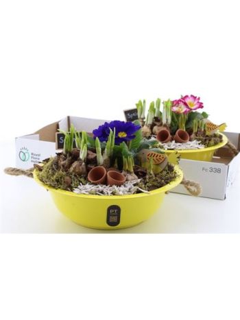 &Ouml;. HAGYM PRIM S&Aacute;RGA ZINK T&Aacute;L