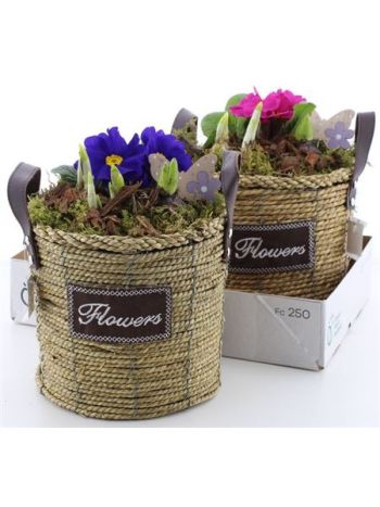 Ö. HAGYM PRIM KÖTÉL KASPÓ