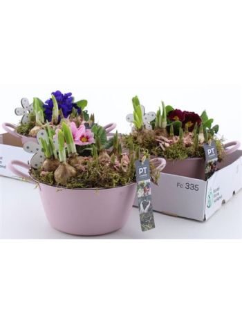 &Ouml;. HAGYM PRIM PINK ZINK T&Aacute;L