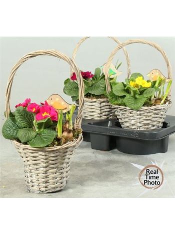 Ö. NARC PRIM FÜLES KOSÁR