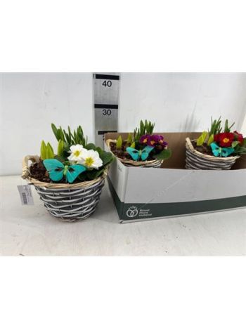 Ö. HAGYM PRIM FONOTT TÁL PILLANGÓ