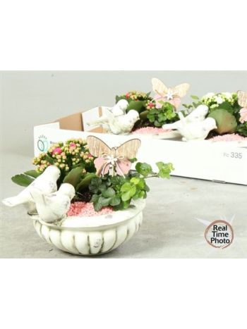 Ö. HED KAL MADÁRITATÓ