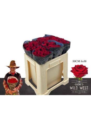 R GR5  R. RED NAOMI!