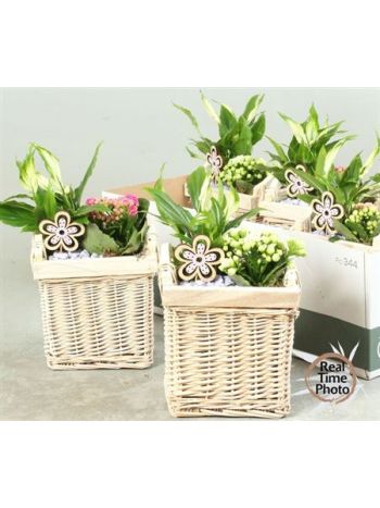 Ö. KAL SPAT SZÖGELTES KOSÁR