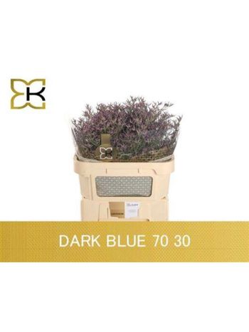 LIM SAF DARK BLUE 70CM