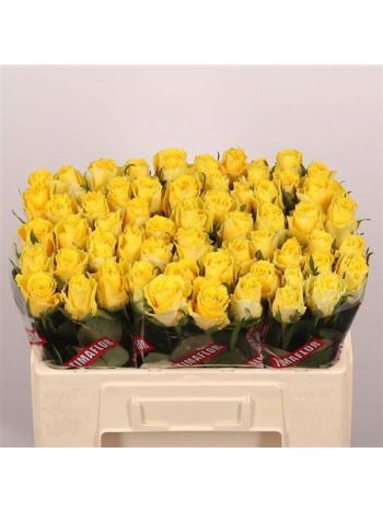 R GR5  S. GOOD TIMES