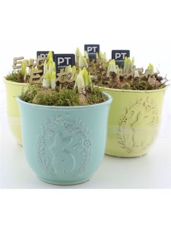 Ö. NARC NYUSZIS KASPÓ